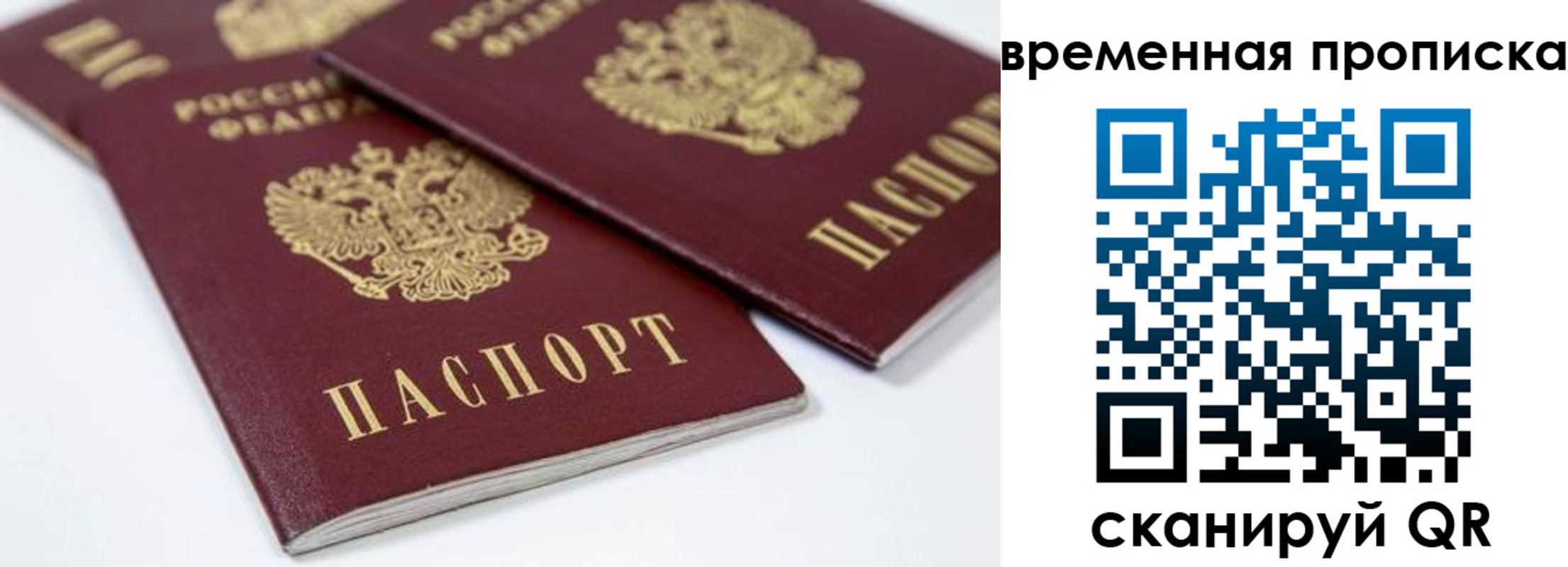 прописка для школы в Шарыпово